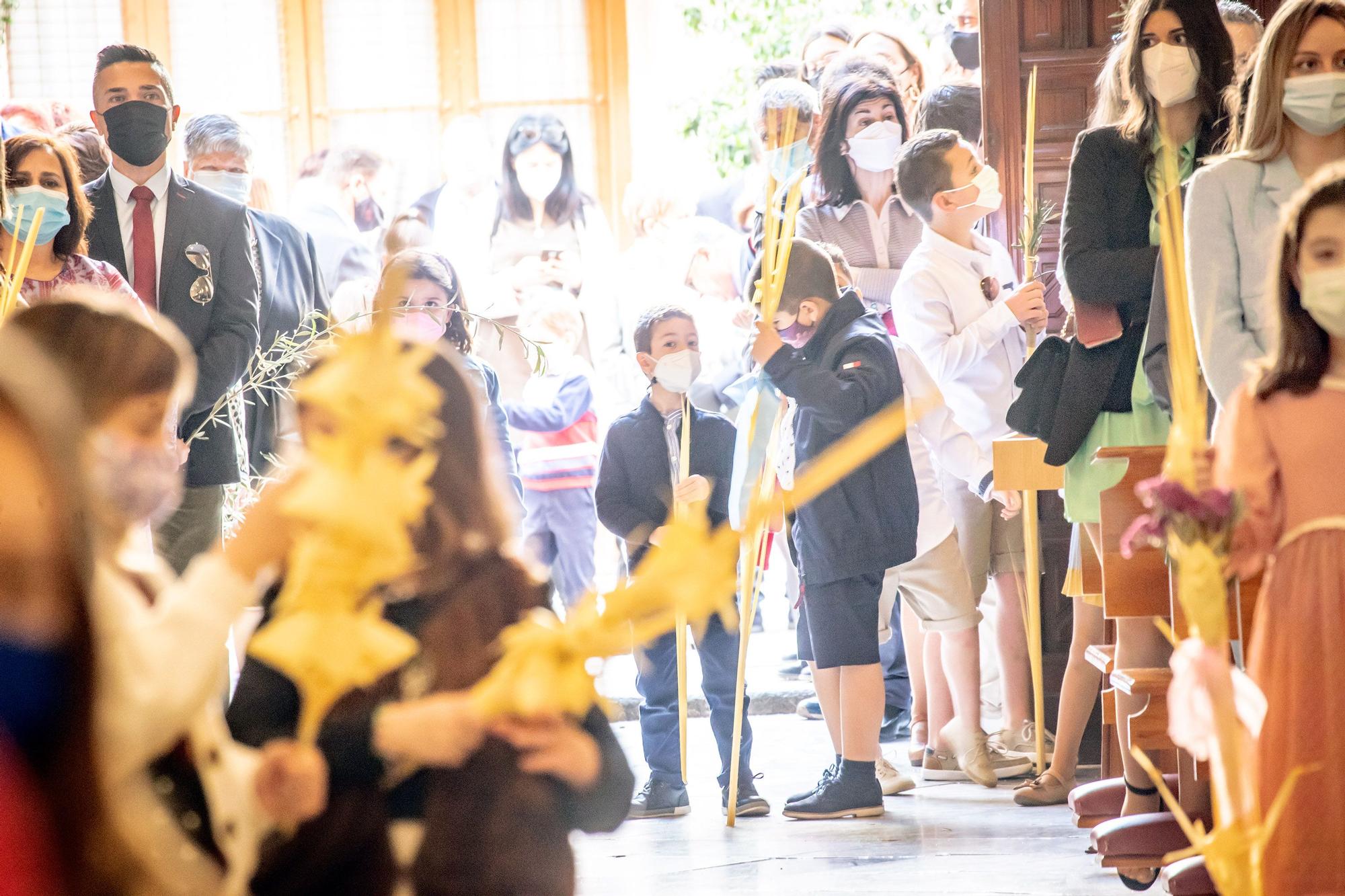 El obispo Munilla preside la procesión de las Palmas en Orihuela