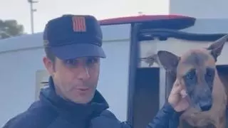 Así trabaja la unidad canina de los Mossos en Barcelona para buscar explosivos