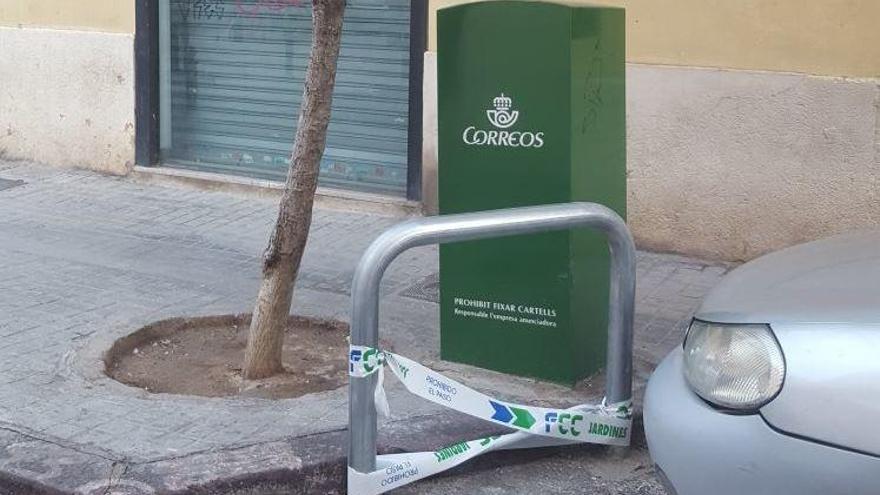 València instala defensas anticoches para proteger el arbolado