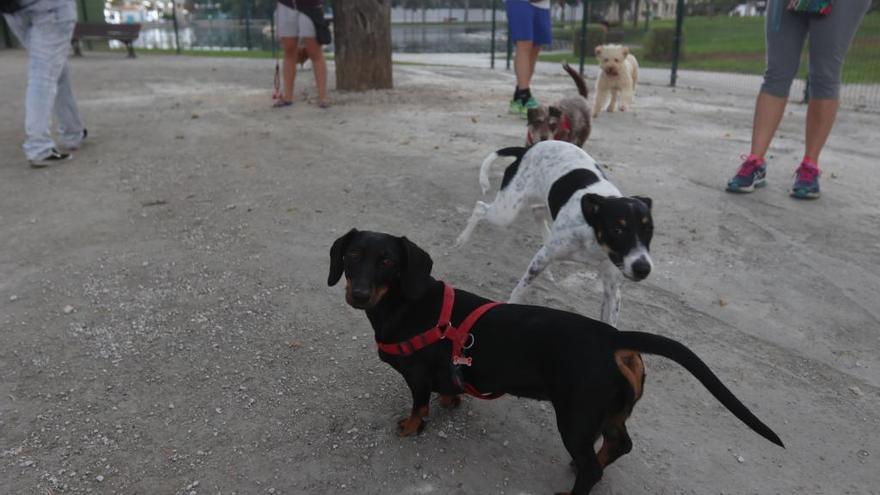 Perros en un parque canino de la capital.