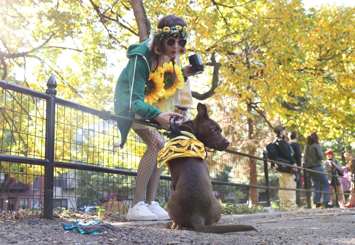 Desfile de disfraces de Halloween para perros en Nueva York