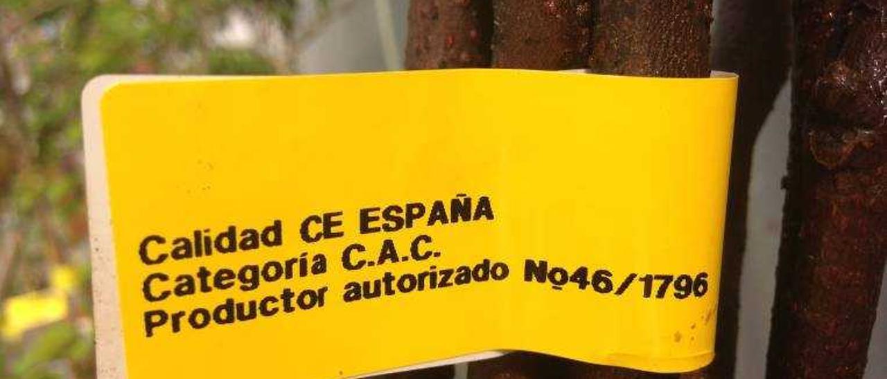 Las plantas ilegales son tres veces más baratas