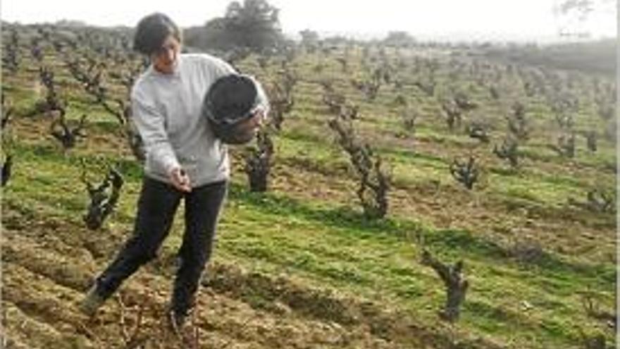 La finca vitivinícola de Can Torres de Vilartolí.