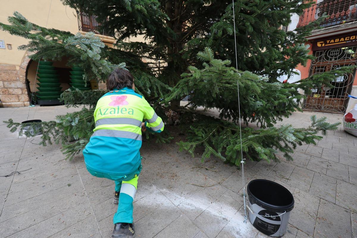 Fotogalería I Vila-real instala su árbol de Navidad más sostenible en la plaza de la Vila