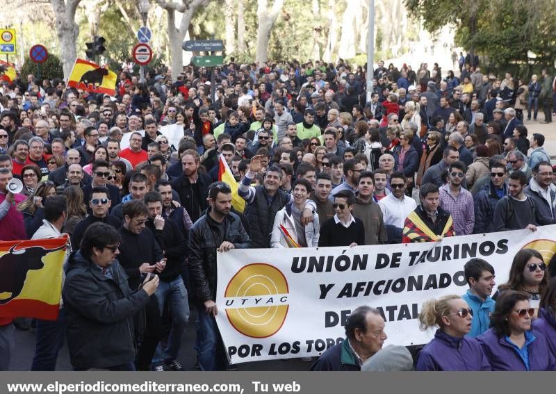 GALERÍA DE FOTOS -- Seguimiento de la manifestación protaurina -- Parte 1