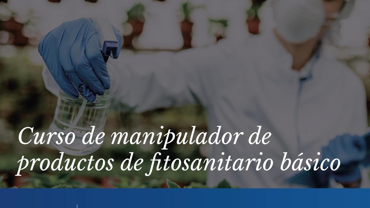 The city council organizes a free basic phytosanitary product handler course The city council organizes a free basic phytosanitary product handler course