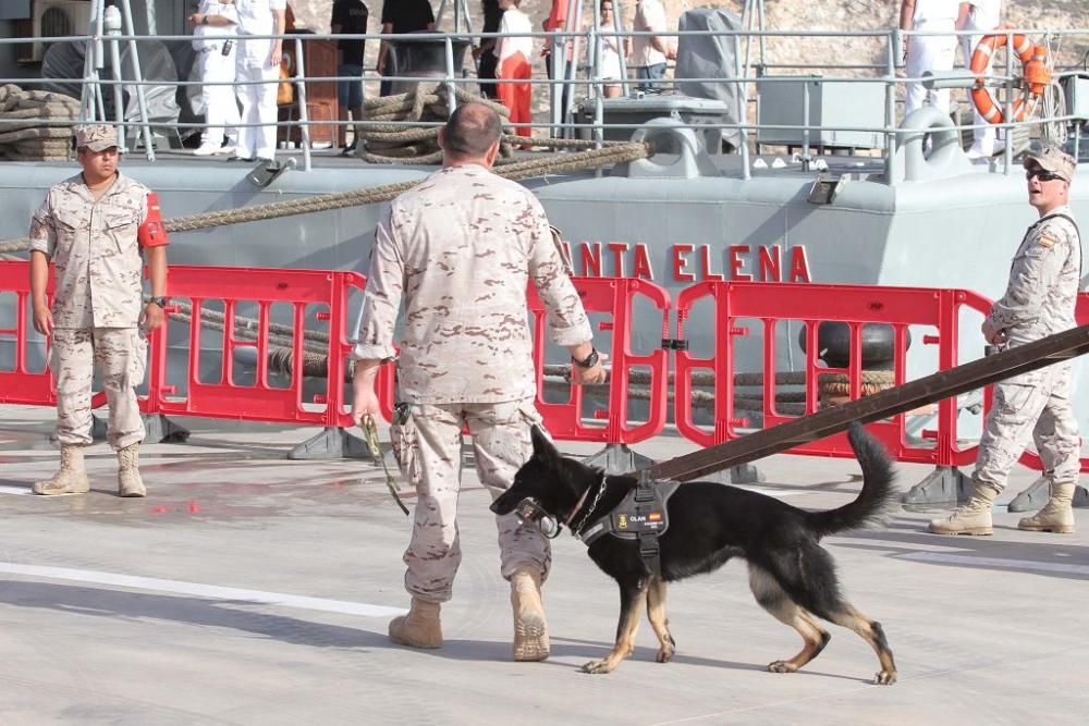 Puertas abiertas del buque Infanta Elena y exposiciones por el Día de las FF AA en Cartagena