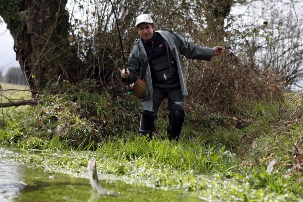 El mal tiempo enturbia la pesca en los ríos de Deza