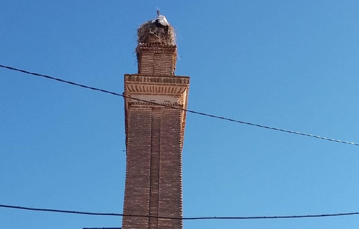 La cigüeña, atrapada en su propio nido en la torre de la iglesia del pueblo.