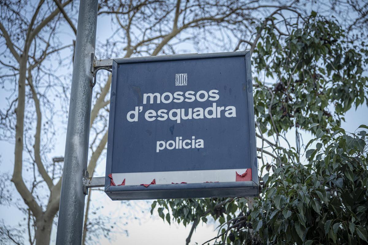 Detinguda una administradora de finques per apropiar-se de 256.246 euros de 14 comunitats de veïns Detinguda una administradora de finques per apropiar-se de 256.246 euros de 14 comunitats de veïns