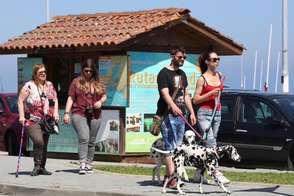Semana Santa de pasión y turismo en O Grove.