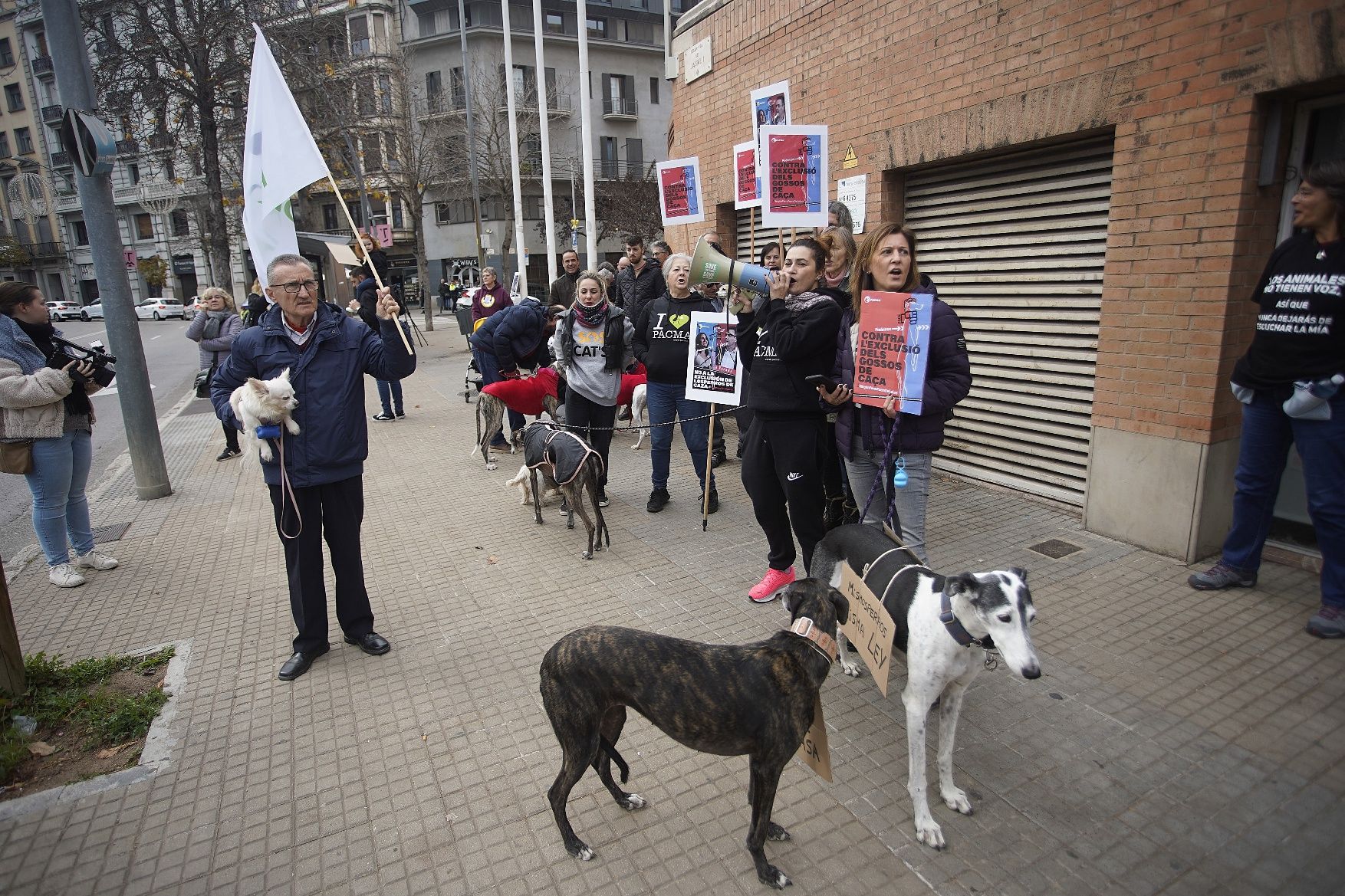 Concentracions del PACMA a Girona per reclamar incloure els gossos de caça a la llei de protecció animal