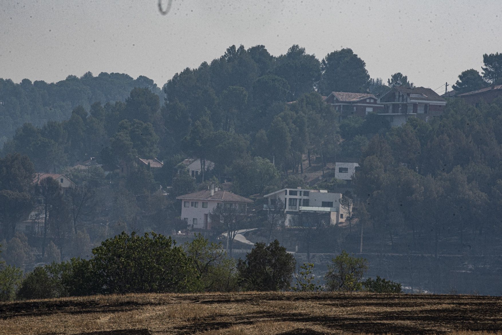 Afectació per l'incendi a la urbanització de les Brucardes