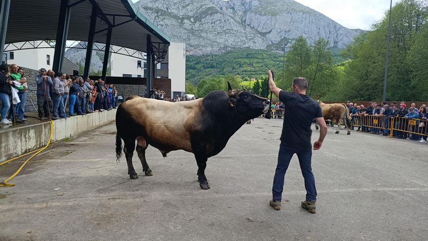 El XXXI Certamen-Exposición de Asturiana de los Valles de Teverga, en imágenes