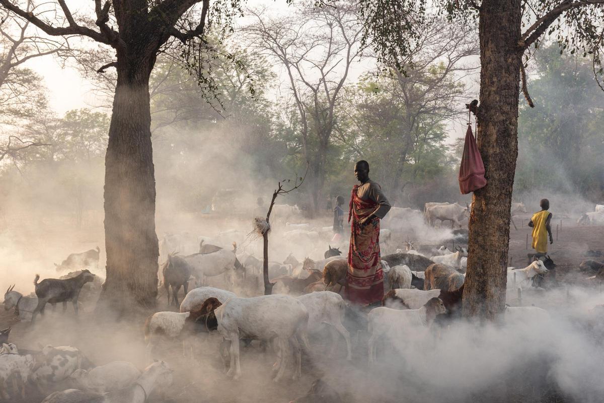 Campamento de ganado de la tribu Mundari