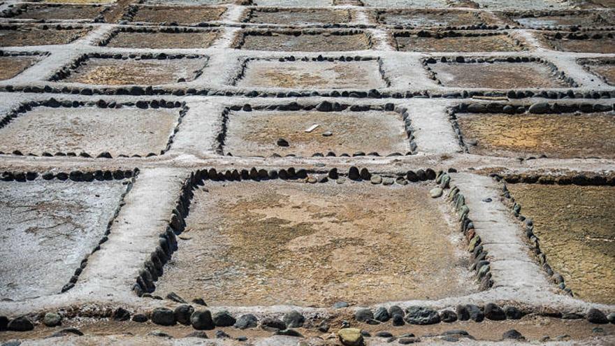 Salinas de Arinaga