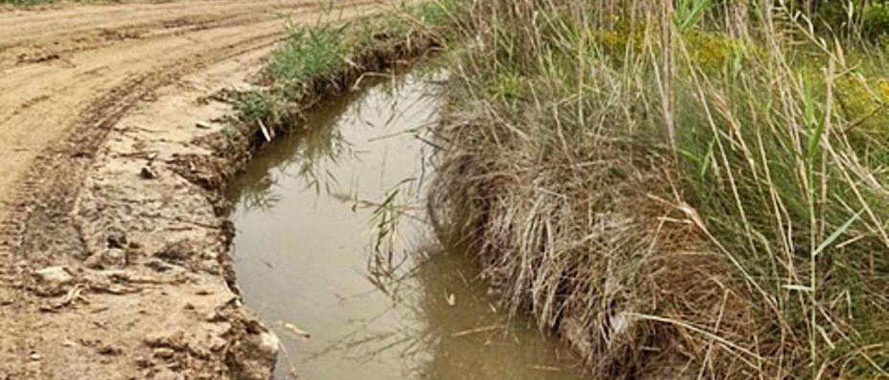 Desatascar los canales es imprescindible para controlar la población de mosquitos.