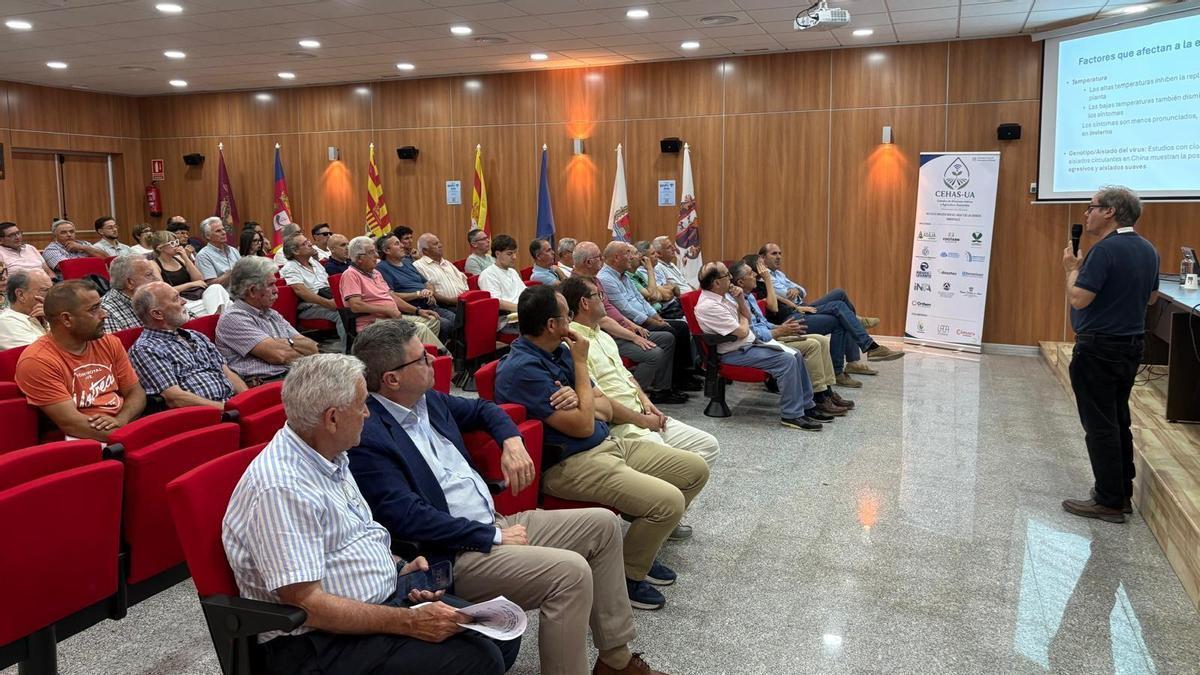 El IVIA asesora en Elche a los agricultores para combatir el virus de los cítricos