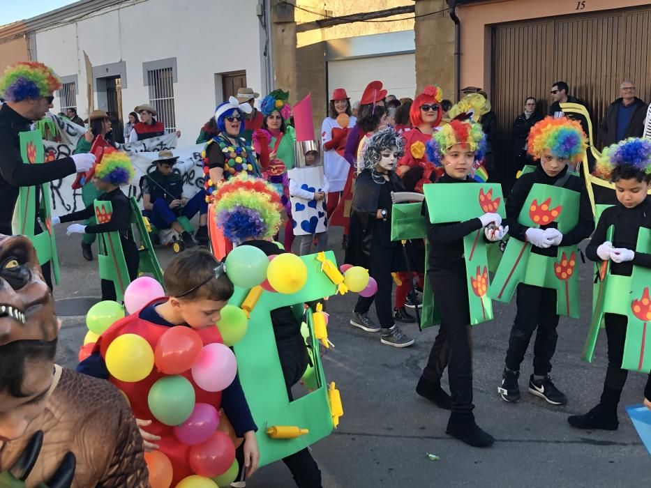 Carnaval en Villaralbo 2020.