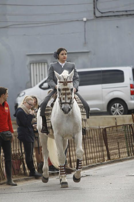 Benidición de animales en la Ermita de Vera y en la Punta