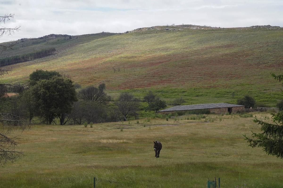 Terrenos de la Reserva de Caza de la Sierra de la Culebra.