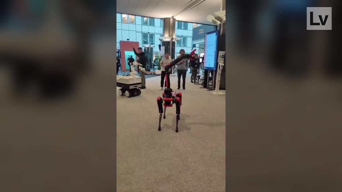El robot que enamora en el Parlamento de Bruselas