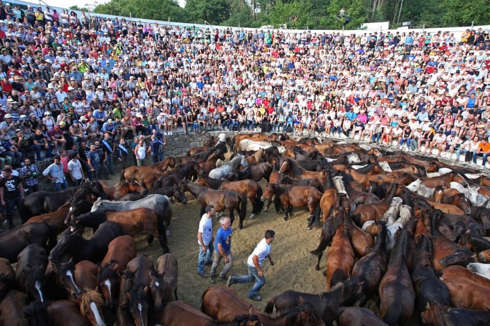 Sabucedo exhibe bravura en su Rapa das Bestas