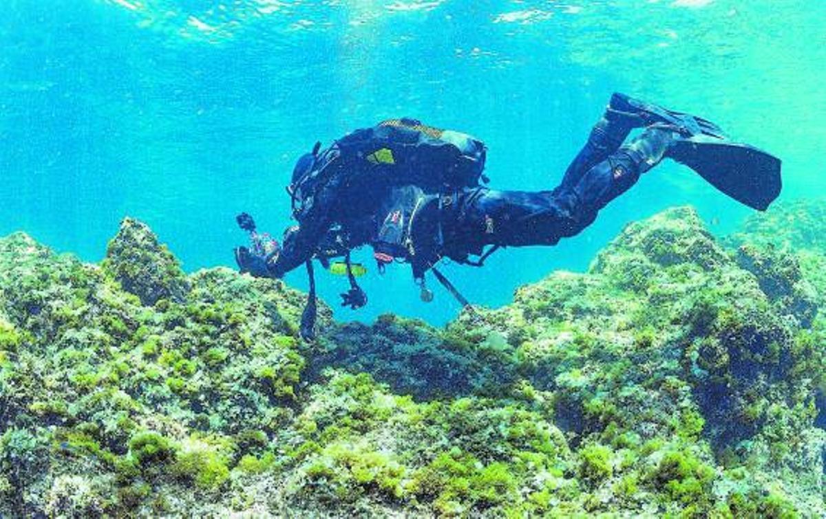 Tabarca y su fondo marino aspiran a ser Reserva de la Biosfera  | PILAR CORTÉS