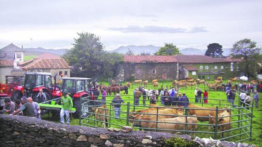 La Espina (Salas) revitaliza su feria de ganado de Covadonga