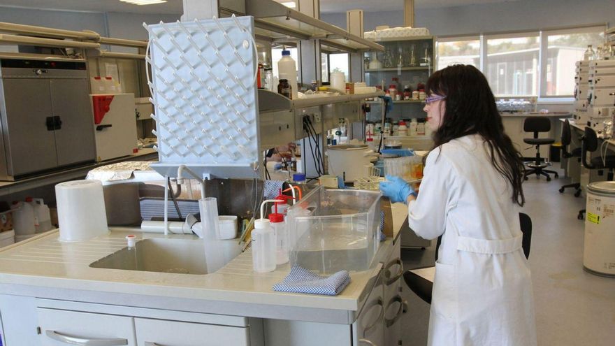 Laboratorios de investigación universitaria.