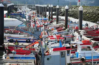 Así se distribuye la flota en las Rías Baixas