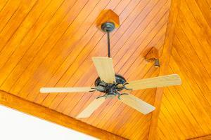 Ventiladores de techo para refrescar el hogar ante la peor ola de calor en 20 años