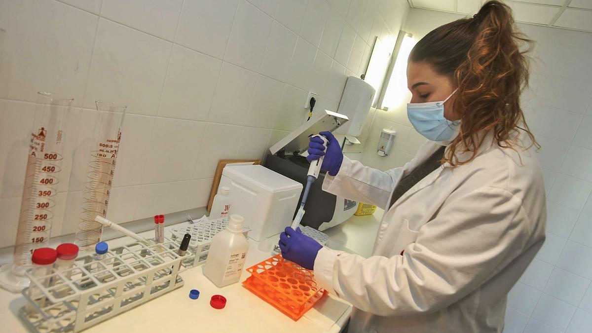 Pruebas de laboratorio en la sede del Parque Científico de la UA. | Pilar Cortés