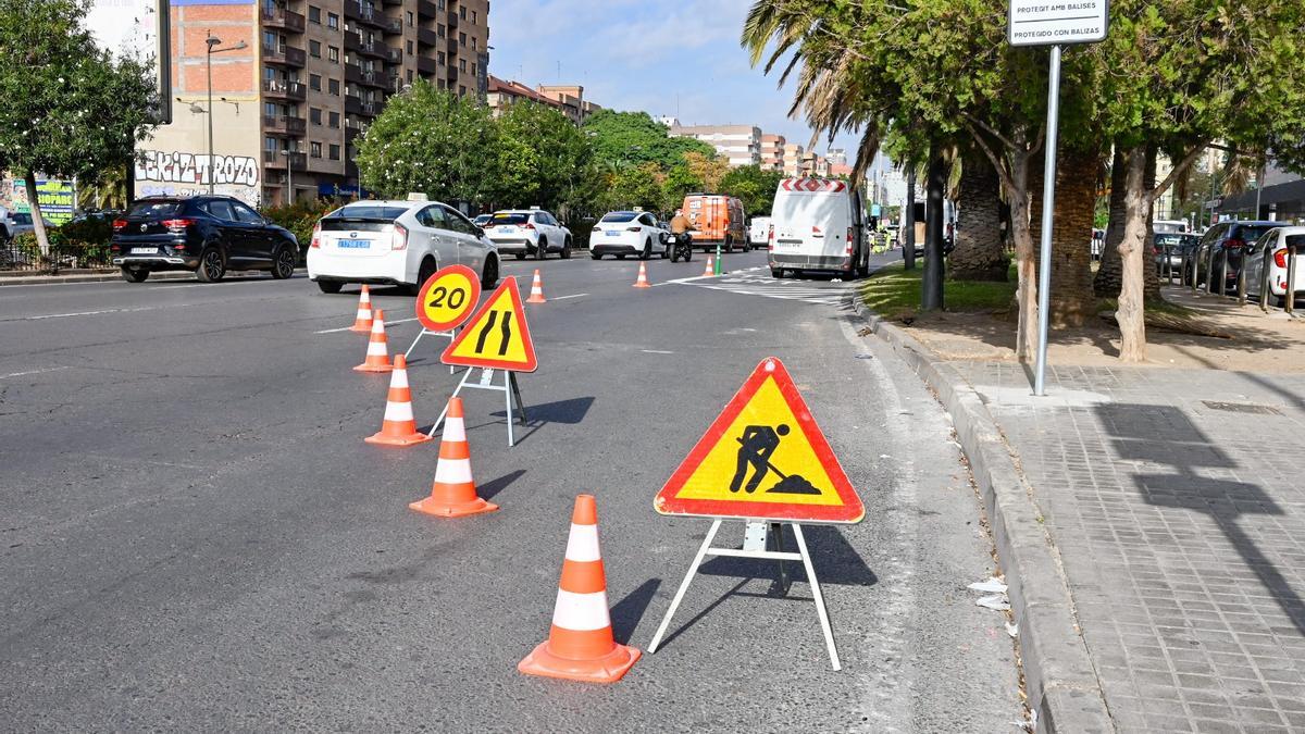 Pintat de carrils exclusius de bus-taxi en Pius XII