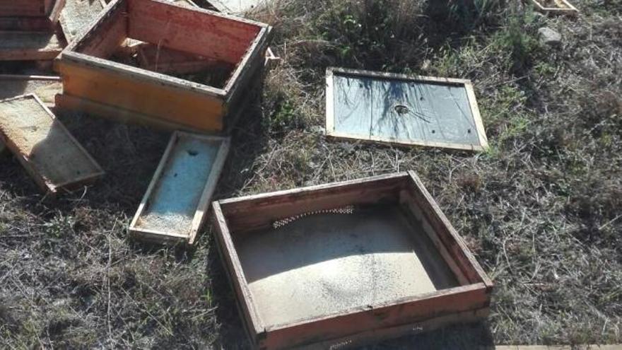 La escasez de abejas por el uso de pesticidas multiplica el robo de colmenas