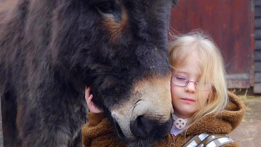 Una niña recupera la voz gracias a su burro: &quot;Te quiero, Shocky&quot;