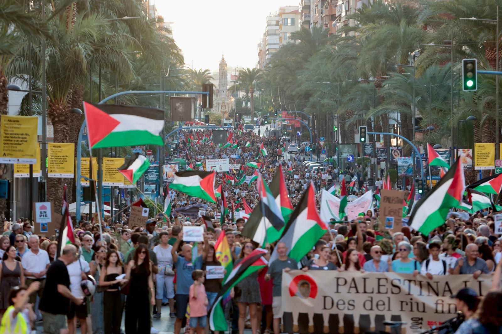 Más de 80 colectivos de Alicante se manifiestan a favor de Palestina