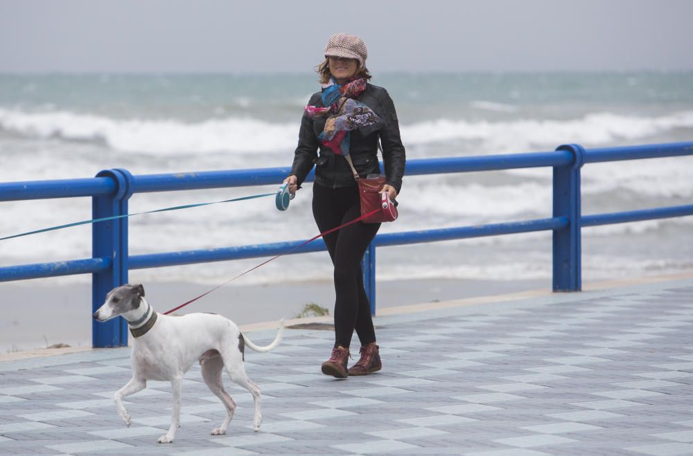 Temporal en la playa de San Juan y en la del Postiguet