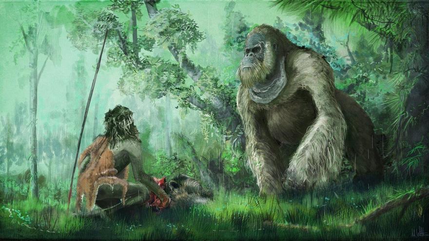 La misteriosa desaparición del primate más grande de la historia: ¿qué llevó a la extinción a estos simios de tres metros?