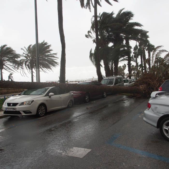 Temporal de viento y lluvia en Málaga