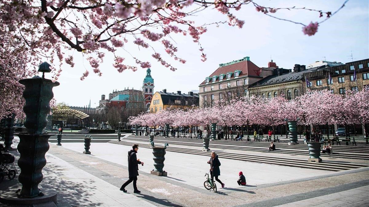 Un parque con cerezos en flor en Estocolmo.