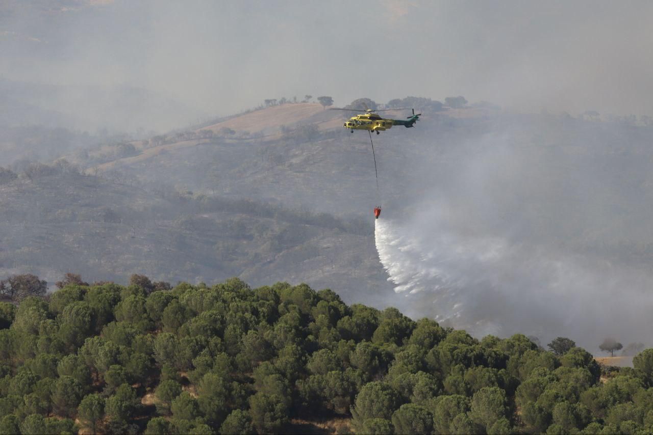 Incendio forestal en Cerro Muriano