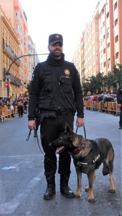 Fiesta de Sant Antoni en la ciudad de València