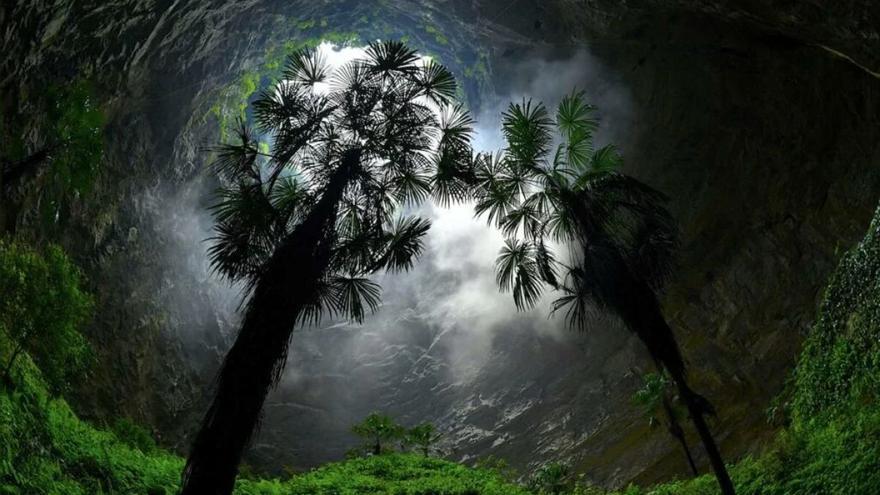 Los enormes bosques subterráneos de China son una gran reserva de ADN antiguo