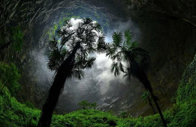 Los gigantescos bosques subterráneos de China esconden un oasis de diversidad genética.