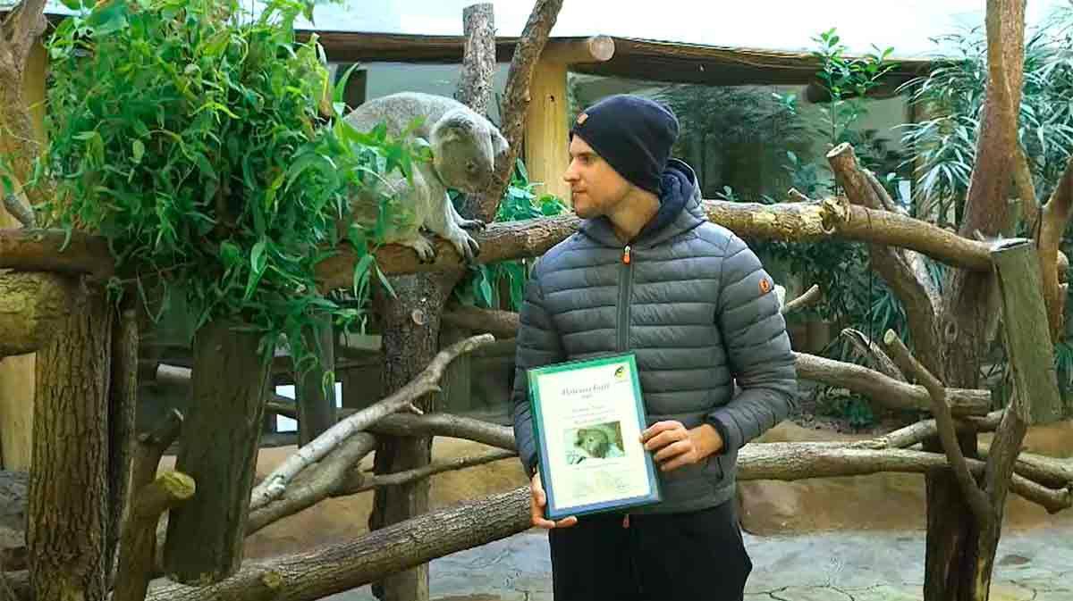 Dominic Thiem apadrina al primer koala nacido en el zoo de Viena