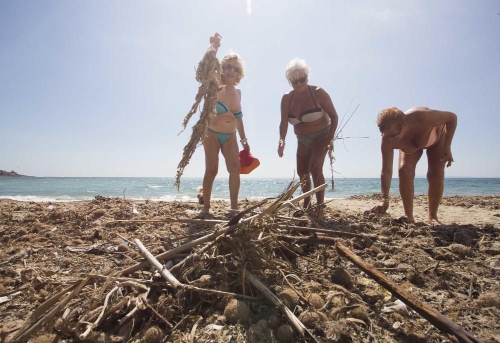 Suciedad en la playa de la Albufereta tras la riada