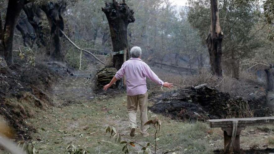 Los Premios Osíxeno e Dioxina 2022 de Adega reconocen a activistas y censuran a Medio Rural y al Tribunal Supremo