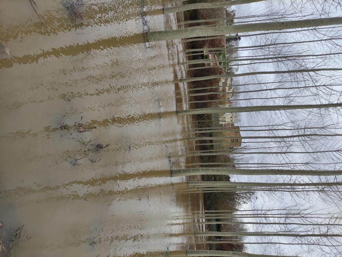 GALERÍA / El río Órbigo desbordado en Benavente, en imágenes GALERÍA / El río Órbigo desbordado en Benavente, en imágenes