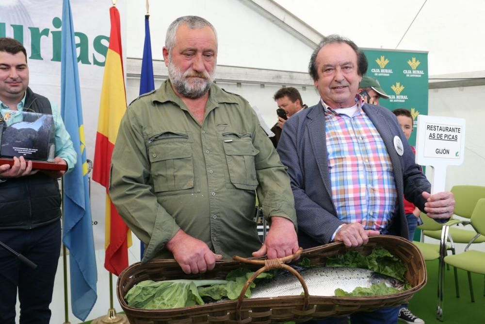 Subasta el campanu 2017 en Cornellana